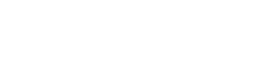 Likerisi Logo